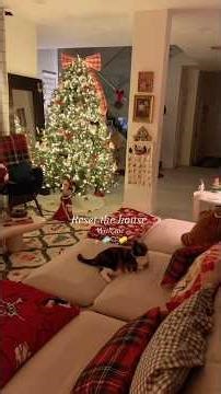 Caption said Farting instead of rotting 😭😂 #cleaning #organization