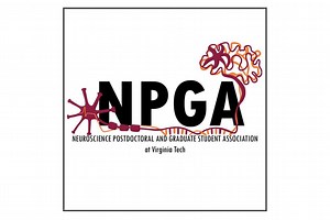 The Amazing Brain: How We See the World