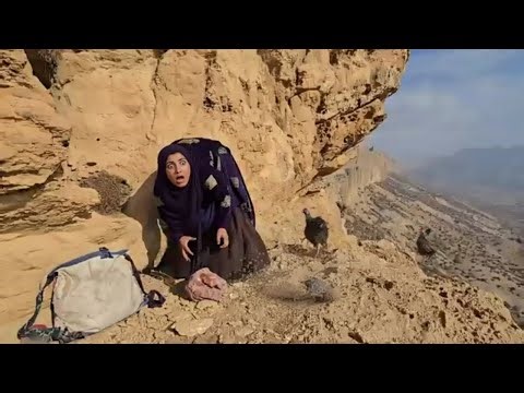 Nomadic Life: Hunting Mountain Chickens for Survival in the Wild