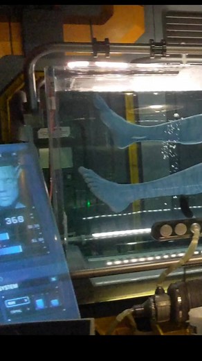 Experience the Amazing Navi Animatronic at Disney's Avatar Flight of Passage