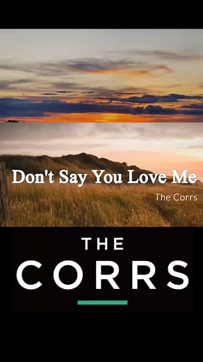 Tidak cuma cantik, suara Andrea begitu lembut || Dont Say You Love Me - The Corrs #thecorrs #lirik #andrea