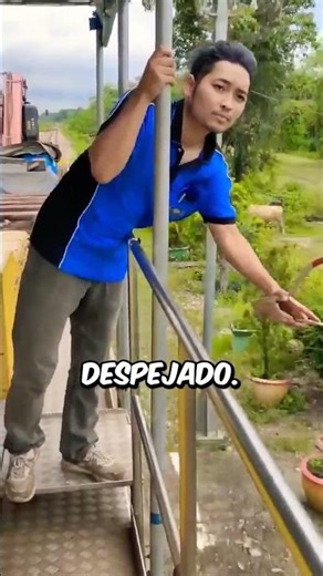 If it falls, you're fired 💀