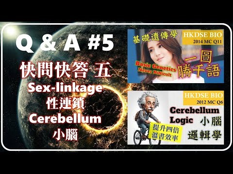 【問書系列】#5 │ HKDSE 2012 2014 MC │sex-linked 性連鎖│cerebellum 小腦│ Faith Education