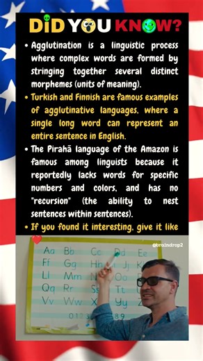 Agglutination is a linguistic process where complex words are formed by stringing together