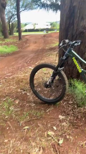 Stanner #mtb #viralvideo #fyp #stunt #cool