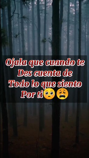 DEMASIADO TARDE #FEICIDAD #MISOLEDAD #AMOR #YOSOYELCREADOR #misoledadsinty #guatelindatiktok #siguemepapurri #apoyamecontucorazon