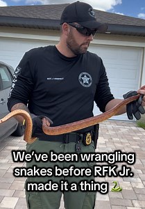 Just another day on shift 🤷🏻🐍 #snake #snakesoftiktok #rfkjr #fyp | snakes