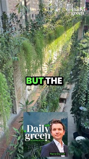 EILO is the leading European organization promoting indoor landscaping.