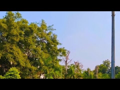 good morning friends