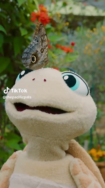 🦉🦋 Looks like Pablo from @Aquarium of the Pacific 🦭 has a new friend! A beautiful owl butterfly, whose wing spots mimic owl eyes to help her stay safe from predators. . 🎟 Visit the @#NHMLAC Butterfly Pavilion now through August 24!