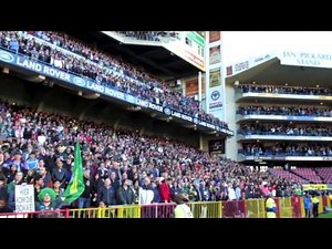 SPRINGBOKS vs WALLABIES