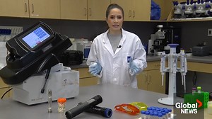 1.6K views · 16 reactions | Our DNA is unique, and that is a huge factor when it comes to identifying someone. Global's Yvonne Schalle learns how analysts at the BCIT Forensic DNA Lab work to identify human remains. | Global BC | Facebook