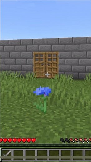 Easy Trap For Your Friends 😆 #minecraft