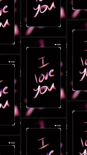 My Cute Cat’s Photo Journey!”