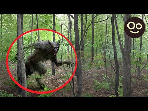 8 HOMBRES LOBO Reales Captados en Video y VISTOS en la Vida REAL