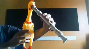 2M views · 15K reactions | When your chicken plays recorder better than you... ( Marcello Moreno) | Classic FM | Facebook
