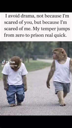 pachino (@pachinomc)’s videos with original sound - pachino