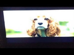 Lady & The Tramp (2019) Everyday Can Be An Adventure Tv Spot