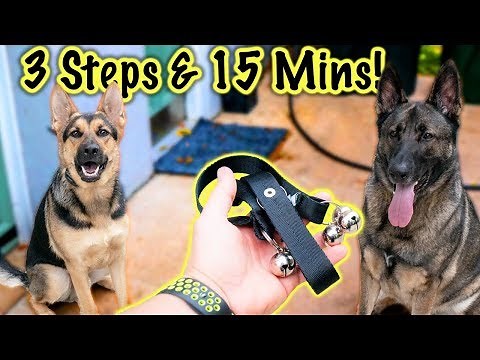 How to Teach German Shepherds to Ring Bell to Go Potty Outside!