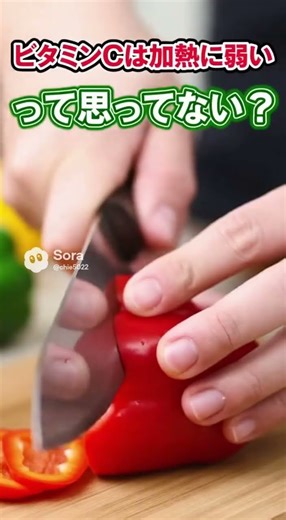 ピーマン🫑の栄養素 #プチ知識 #野菜