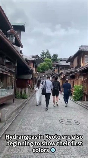 Traditional Japanese Culture Experience Kyoto Ninenzaka Kangetsu