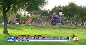 Security suggested to combat homeless issue