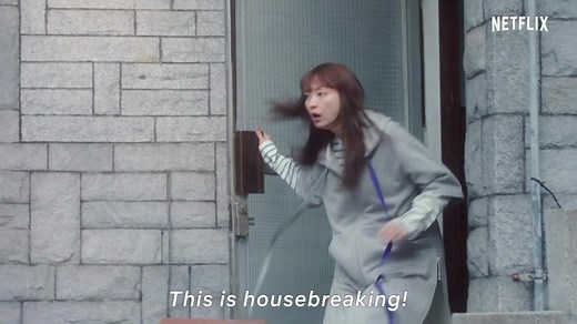 Romance Is a Bonus Book (TV Series 2019)