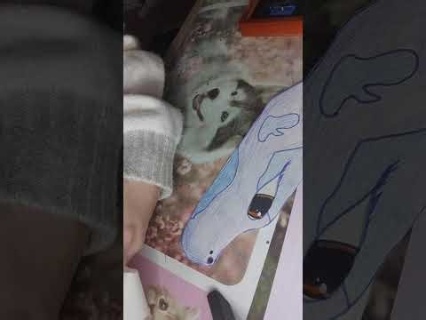 Tuto fabrication d'un dragon de A à Z ! 🐲🔥✨