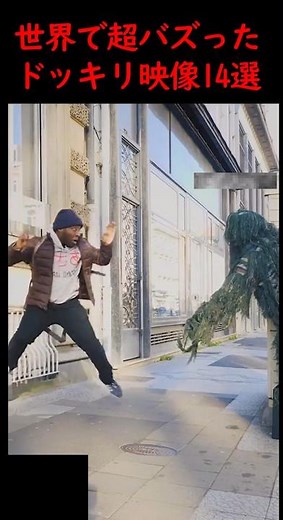 SNSで2億再生超バズりww世界のドッキリ爆笑動画7選www #爆笑 #おもしろ
