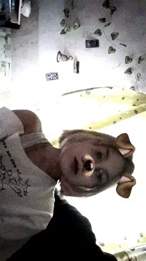 くそったれ！!!! (@chihuahua_neagro)’s videos with оригинальный звук - dreams