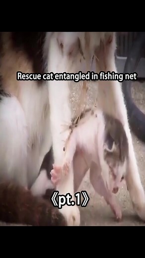 user2393076755080 on TikTok