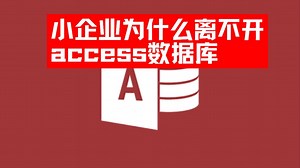 7小企业为什么离不开 access
