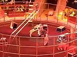 Dramatic moment raging lion attacks a circus performer in terrifying brawl