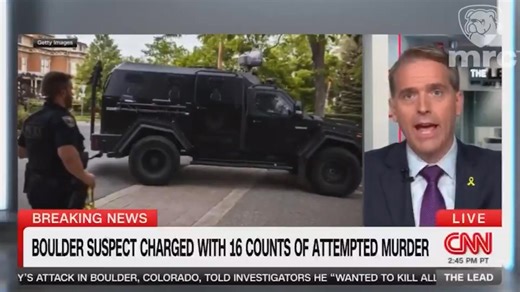 7.5K views · 536 reactions | "It has nothing to do with building a state of Palestine, it's about destroying Western states." - Dave We need to stop importing people who are hostile to our values and way of life. | The Rubin Report | Facebook