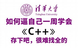 【整整500集】绝对是B站最细最全，2025最新版C  零基础入门教程，全程干货无废话，逼自己一周学会C  ，C  零基础小白入门到开发大佬！