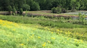 Series 4 Test Dog #SuperRetrieverSeries #WhereTheBigDogsRun #srscrownbound2022 #duckhunter #waterdog #duckhunting #duckdog #retriever #retrieversofinstagram #Labrador #Labradorretriever #waterfowlhunting #waterfowl #hunttest #fieldtrial #huntsavvy #EukanubaSportingDog #FueledbyEukanuba 閭閭閭閭閭 Eukanuba Sporting Dog Shreveport-Bossier Sports Commission THOR Boats Apex Ammunition UKC Hunting Ops Lucky Duck Premium Decoys | Super Retriever Series | Facebook