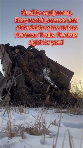 Tree trimming done right