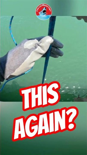 What’s Hiding Under Jaws Bridge?! #magnetfishing