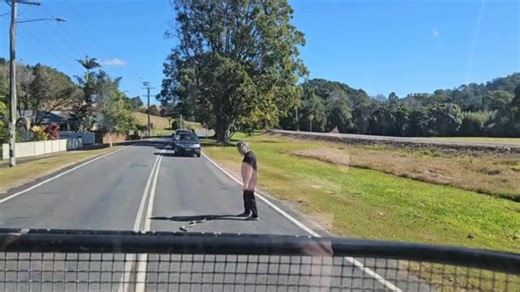 13K views · 141 reactions | I pulled this Python off the road, to prevent it form getting run over, and it ended up crawling up into the engine bay of the bus | Michael Gray Griffith | Facebook