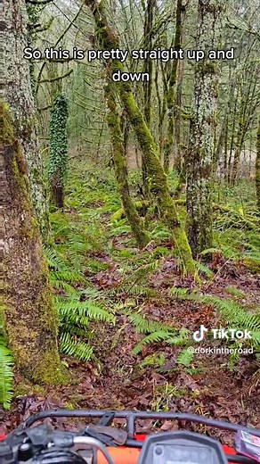 Trail Building on My Property with ATV
