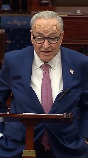 Senate Majority Leader Chuck Schumer (D-NY) on Monday criticized the Justice Department’s investigation into Federal Reserve Chair Jerome Powell, portraying it as an effort by the White House to strongarm the central bank. “Anyone with two eyes and half a brain knows exactly what this criminal probe represents: a brazen attempt by Donald Trump to cannibalize the Fed’s independence. The allegations behind this probe are clearly bogus,” he said on the Senate floor. Mr. Powell released a rare video