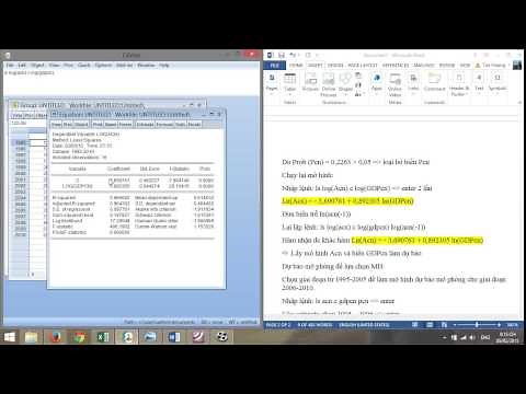 hướng dẫn eview 8| how to use eview 8