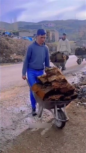 Wait for the Twist! 😱 These Are NOT Soil Blocks