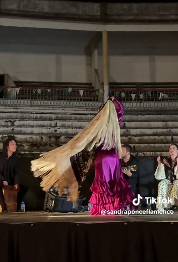 Silencio por Alegrías: Flamenco con Mantón