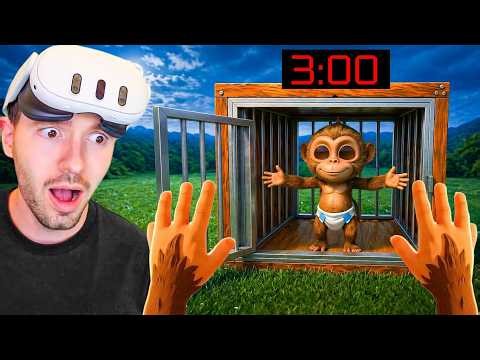 Libertei o MACACO 3 DA MANHÃ no I Am Monkey VR (atualização)