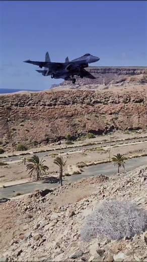 Enjoy Life with Airplane Adventures