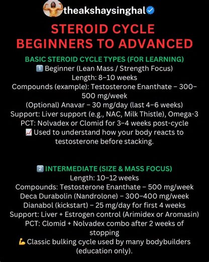 Akshay Singhal on Instagram: "Steroid cycles explained from beginner to advanced — for education only. Understand compounds, cycle length, support, and PCT before anything else. Save this guide and learn smart, not risky. ⚠️💪 #SteroidEducation #FitnessKnowledge #BodybuildingFacts #CycleInfo #theakshaysinghal #GymReelsIndia #FitnessReels #MuscleScience #PCTGuide #GymLearning"