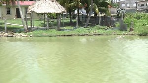 44K views · 705 reactions | The New River is extremely essential in...