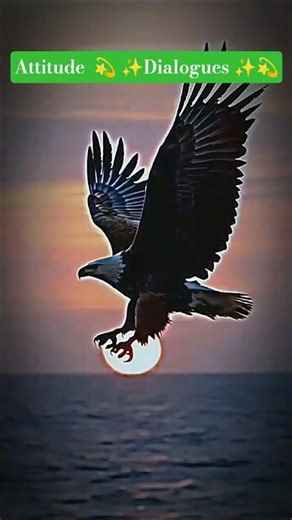 Attitude dialogues 🔥 ✨💫✨💥💫🔥😈