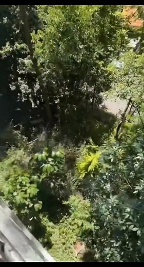 In free fall #funny #hilarious #funnyvideo #funnyreels #fun #funnymoments #prank #prankvideo #funnypost #funnyprank | PrankWorldz